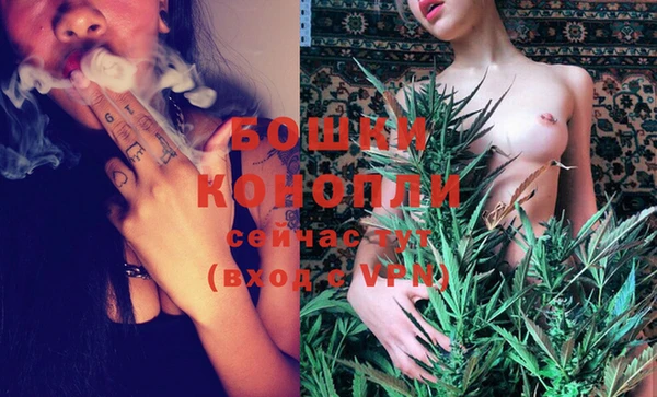 эйфоретик Богданович